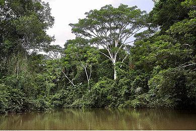 提前偷跑预告视频 IGN认错向《异环》开发团队道歉